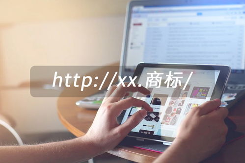 點商標域名 個人互聯(lián)網(wǎng)服務的戰(zhàn)略布局新選擇